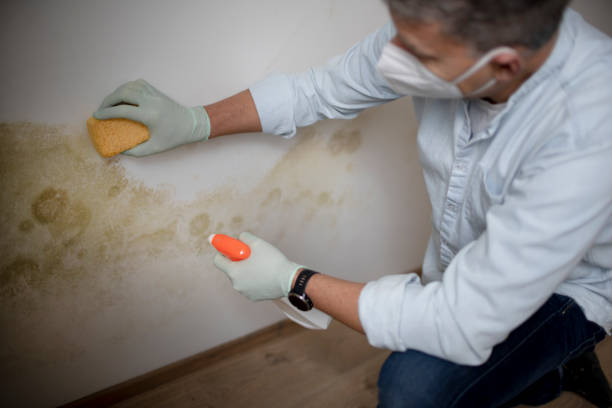 Water Damage Restoration in Island City, OR