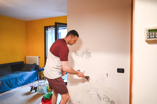Best Black Mold Removal  in Island City, OR